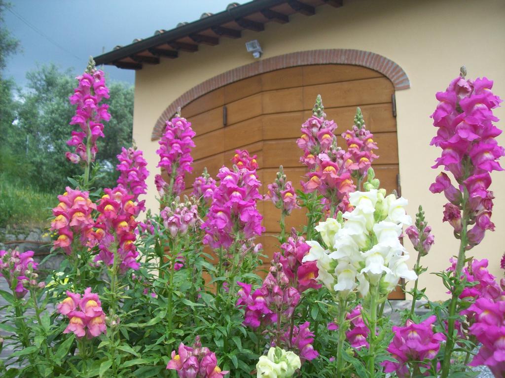 La Casa Dei Limoni Matraia Exterior foto